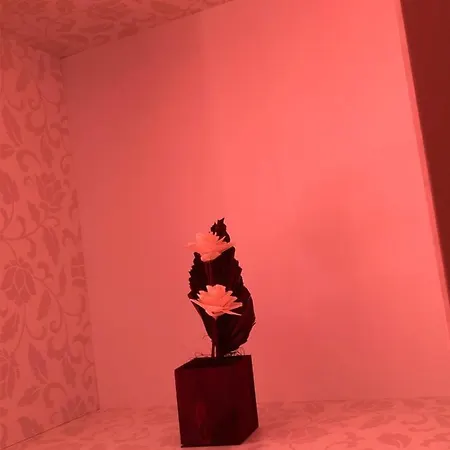 Appartamento Criss Constanţa