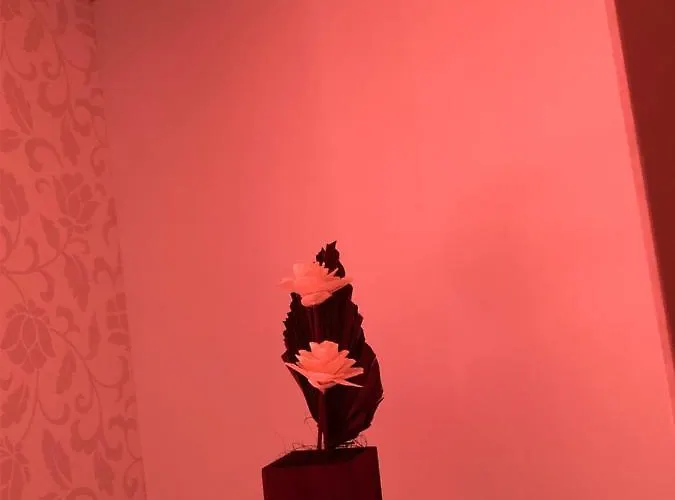 Apartment Criss Constanţa